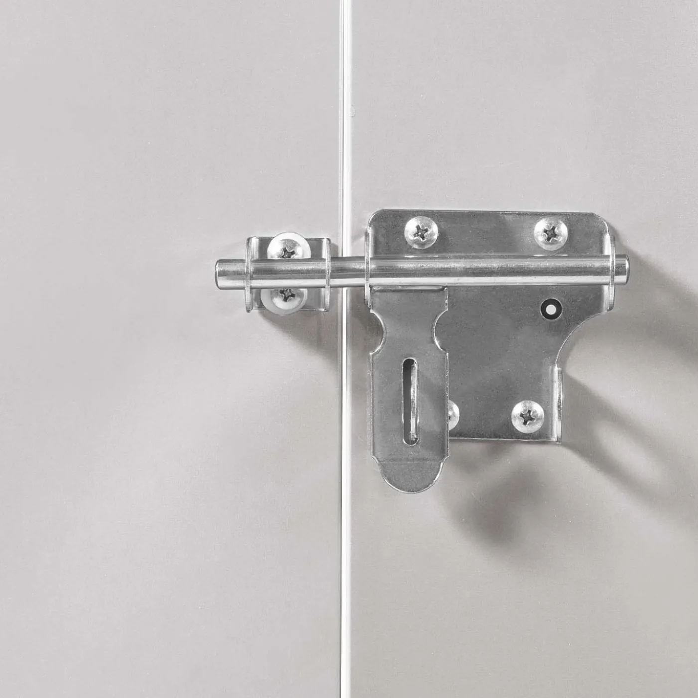 Abri de jardin multi-rangements en métal gris clair