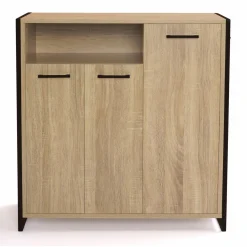Armoire à chaussures avec portes et une niche bois et métal