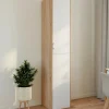 Armoire de bureau bois 180 cm multifonction 3 étagères 1 porte blanche
