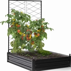 Carré potager en métal avec serre à tomates + treillis + housse