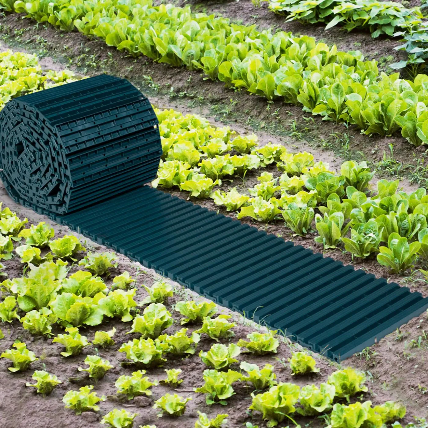 Chemin potager 5 m à dérouler en plastique vert