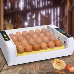 Couveuse incubateur 24 œufs
