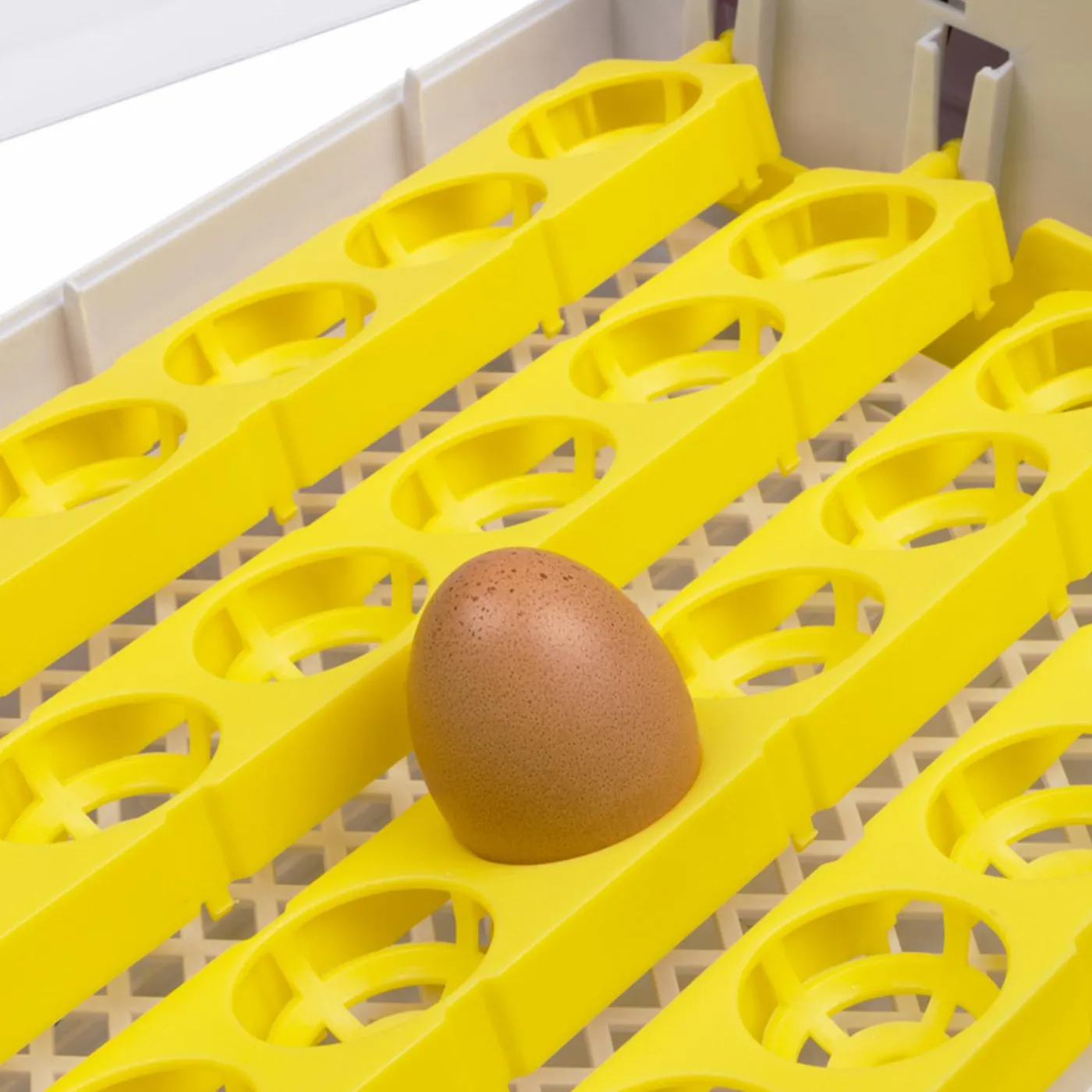 Couveuse incubateur 24 œufs