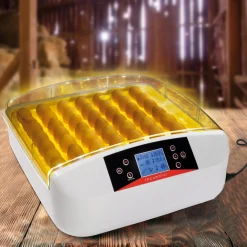 Couveuse professionnelle automatique 56 œufs avec incubateur
