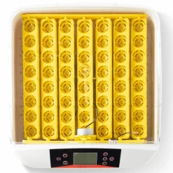 Couveuse professionnelle automatique 56 œufs avec incubateur
