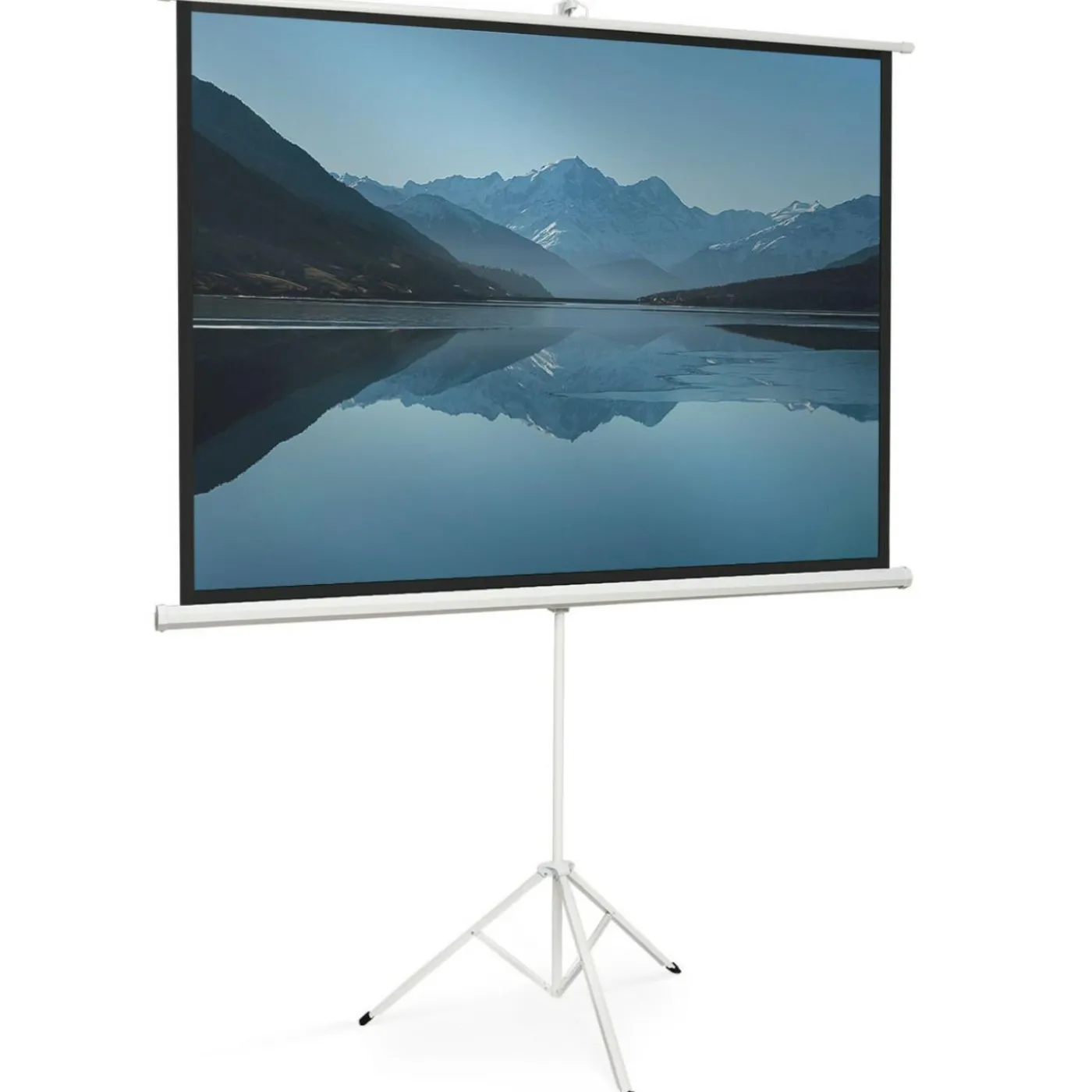 Ecran de projection 84 pouces avec support trépied hauteur réglable