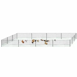 Filet à poules de 50m avec porte