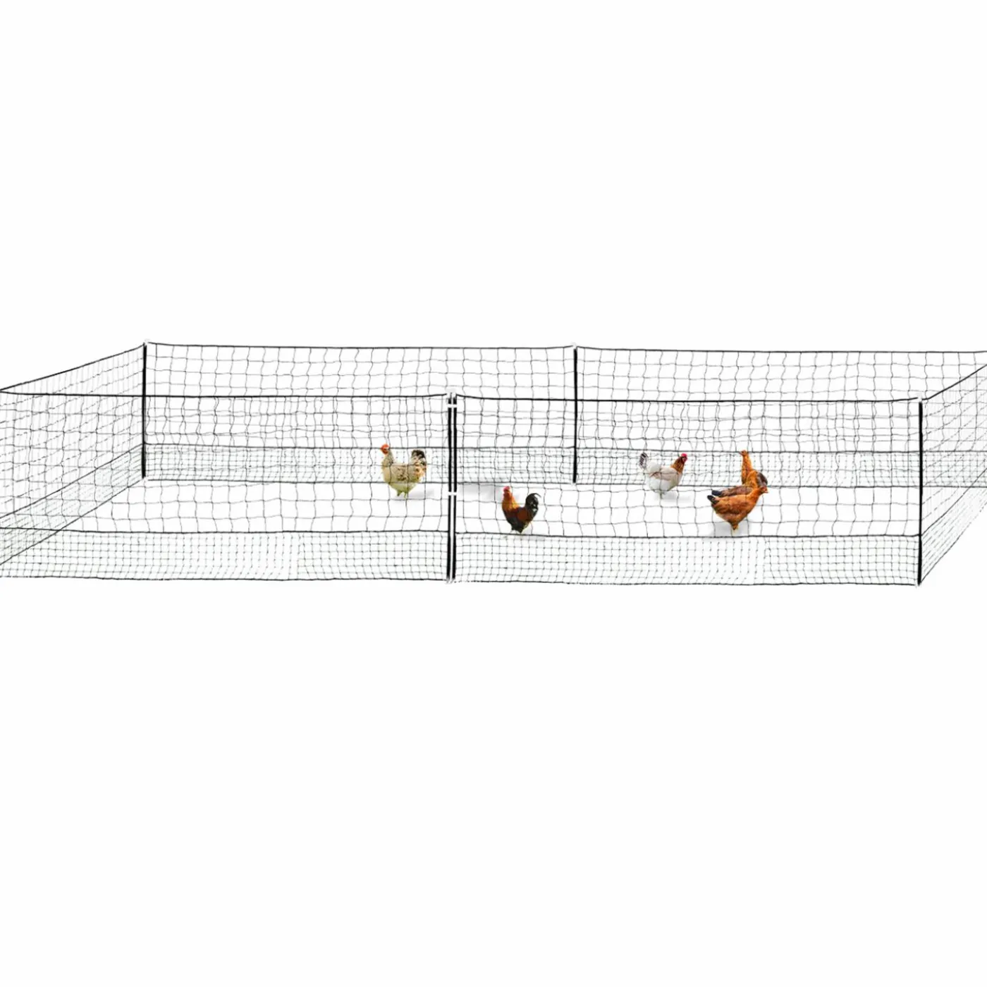 Filet pour poulailler 12 m