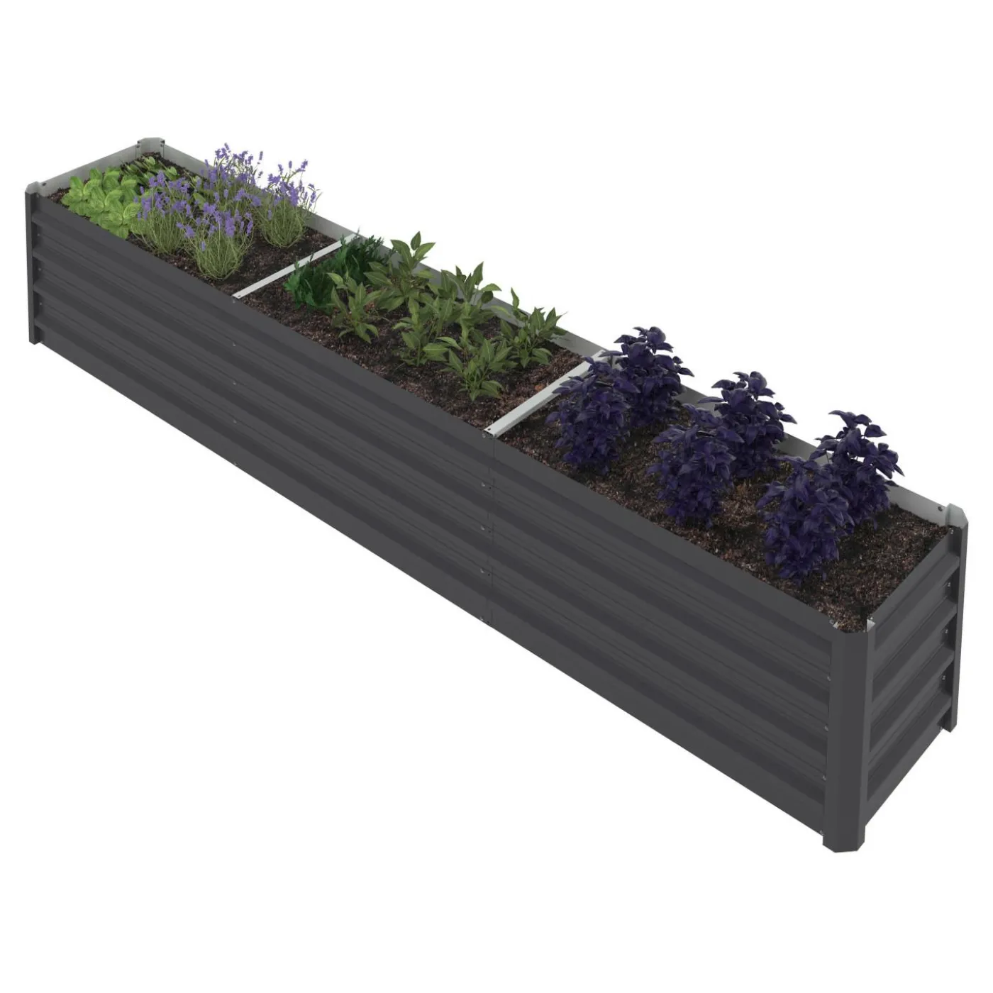 Jardinière en métal rectangulaire avec lit surélevé de 240 x 40 x 45 cm
