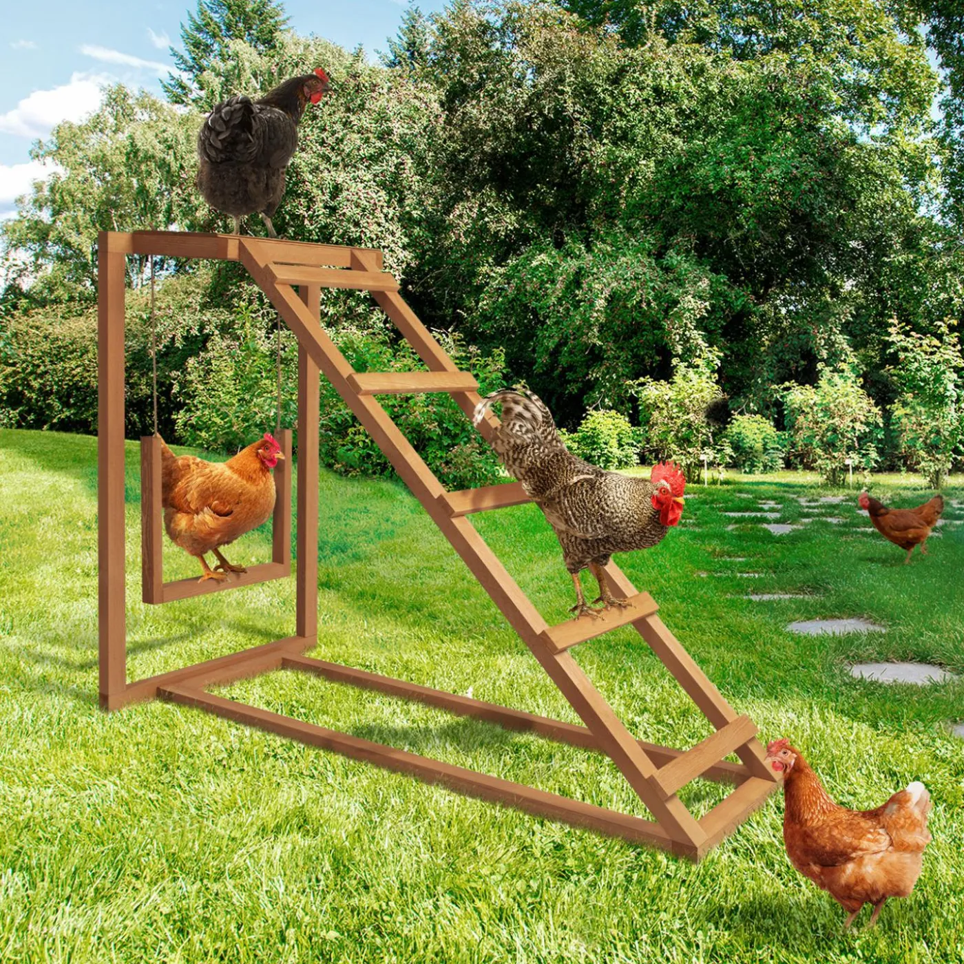 Jeux pour poules avec perchoir et balançoire