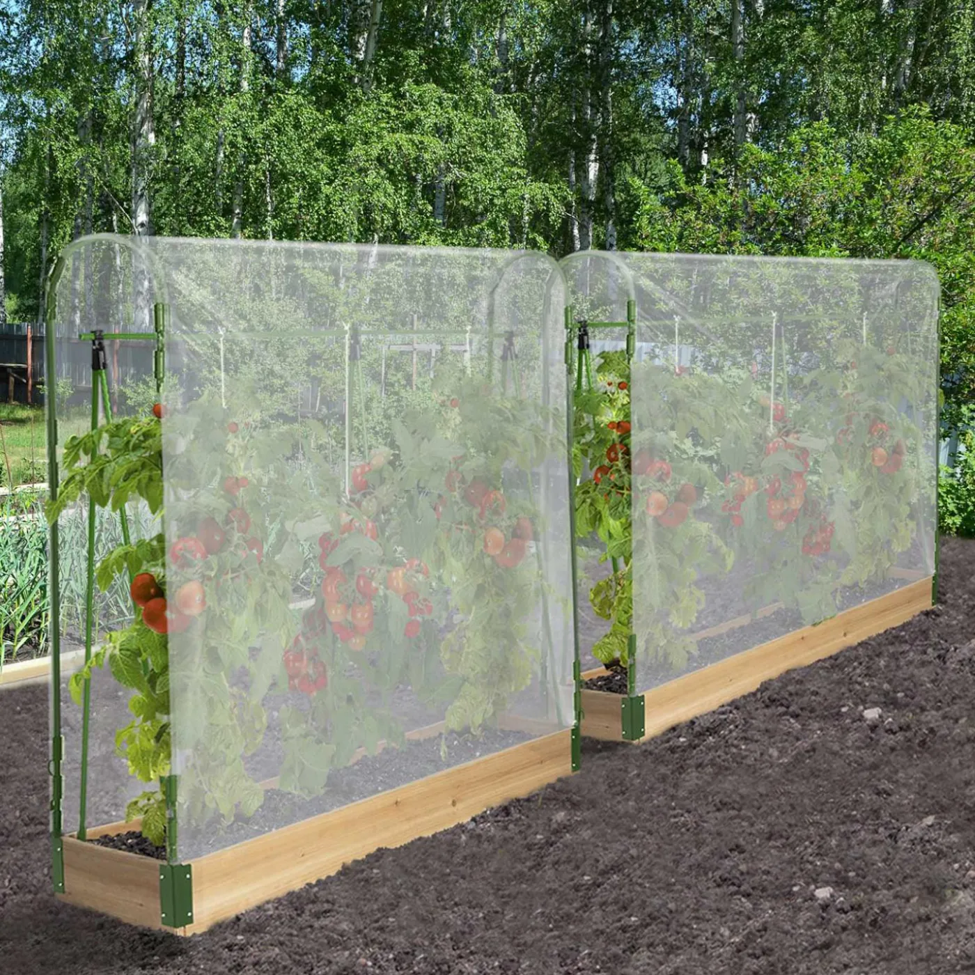 Lot de 2 tunnels à tomates 1,20 m