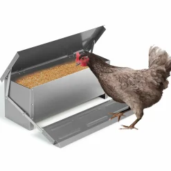 Mangeoire automatique en acier pour poules