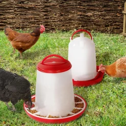 Mangeoire et abreuvoir pour poules