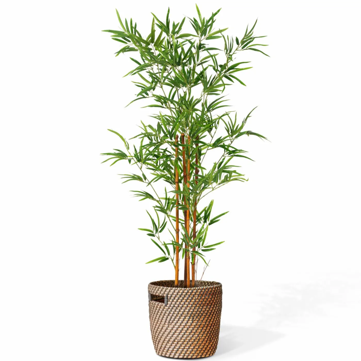 Plante artificielle bambou 150 cm