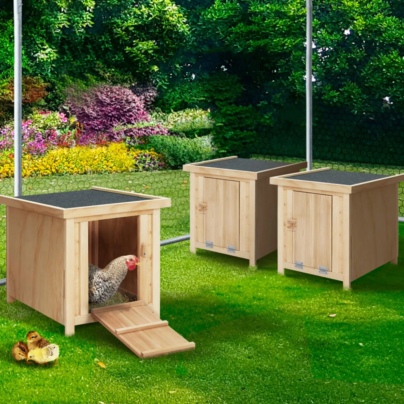 Pondoirs en bois pour poules avec fond