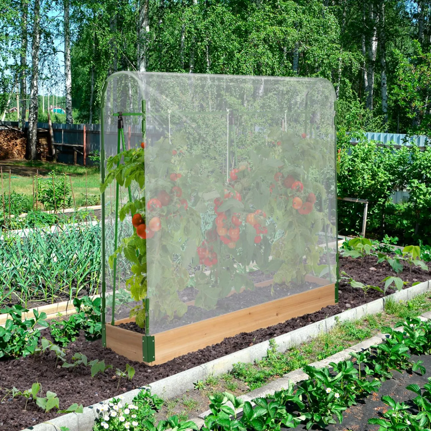 Serre à tomates 1,20 m