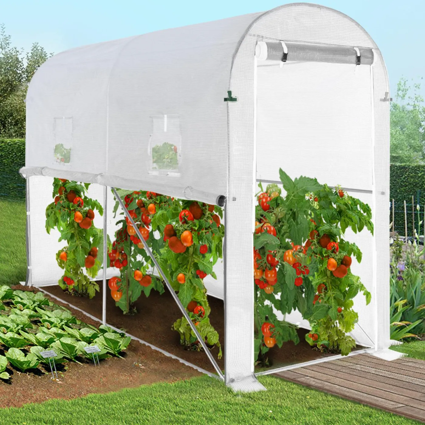 Serre à tomates 3 m² 3 x 1 x 2 m blanche