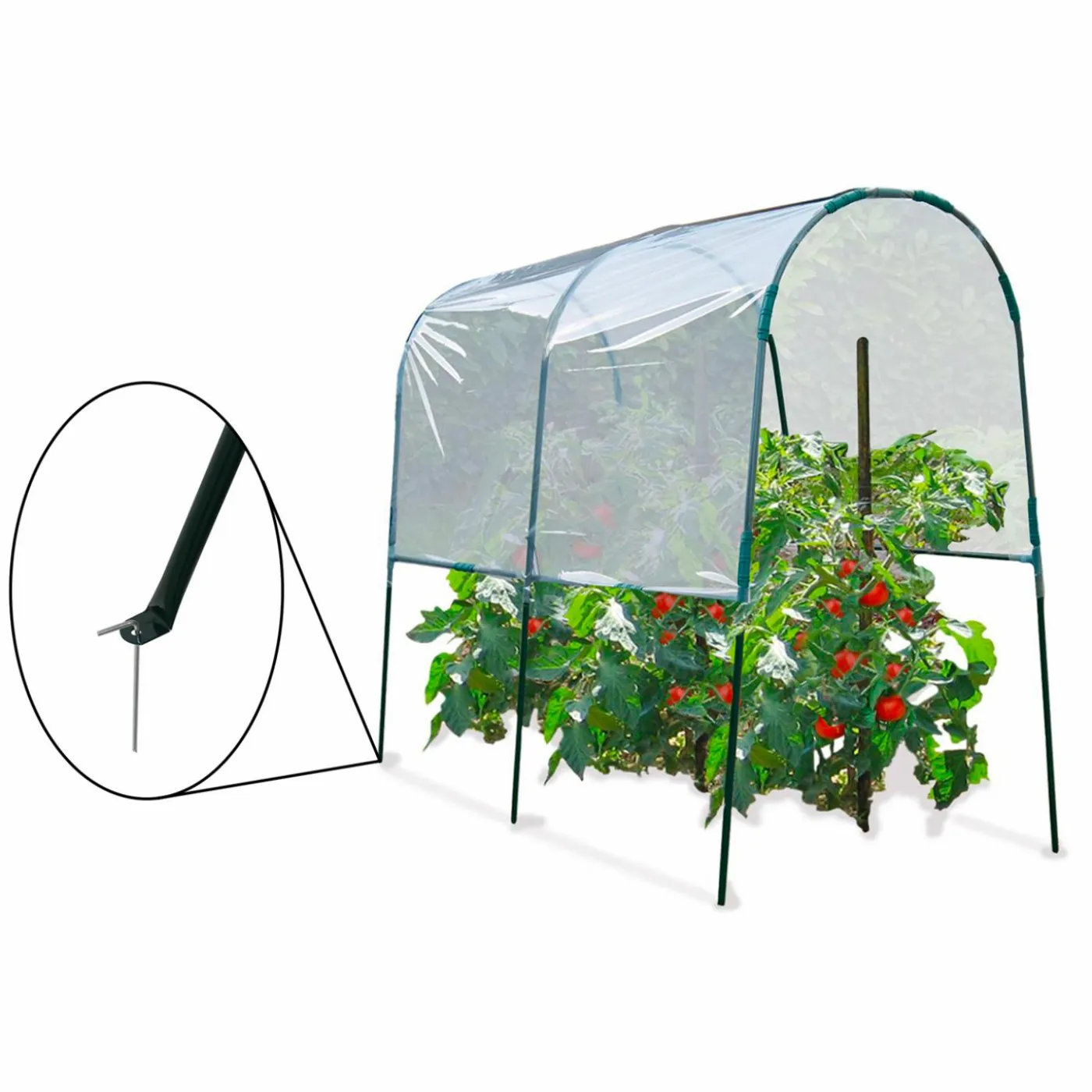 Serre à tomates de 2m de longueur