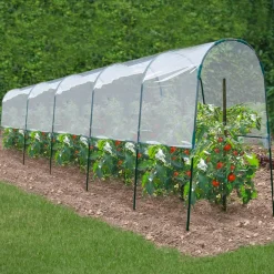 Serre à tomates tunnel 6 m