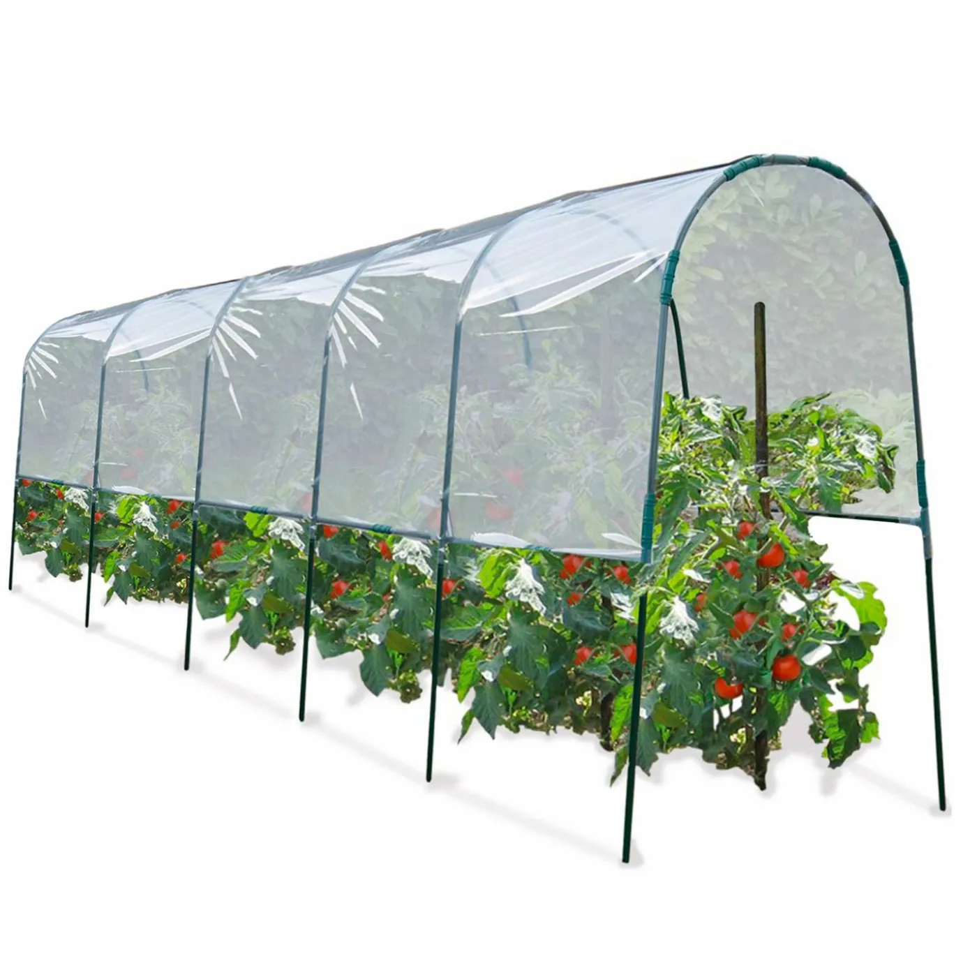 Serre à tomates tunnel 6 m