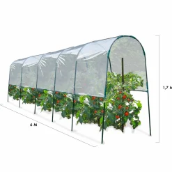 Serre à tomates tunnel 6 m
