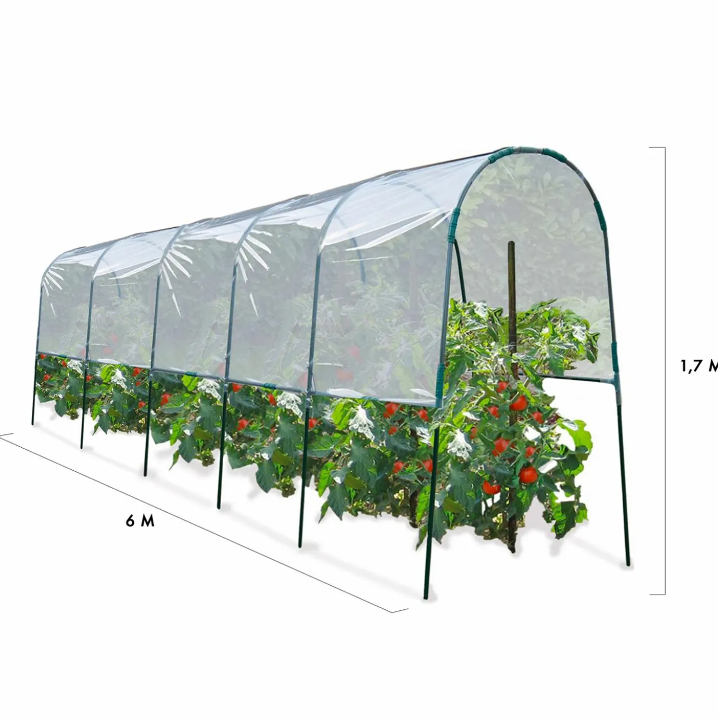 Serre à tomates tunnel 6 m