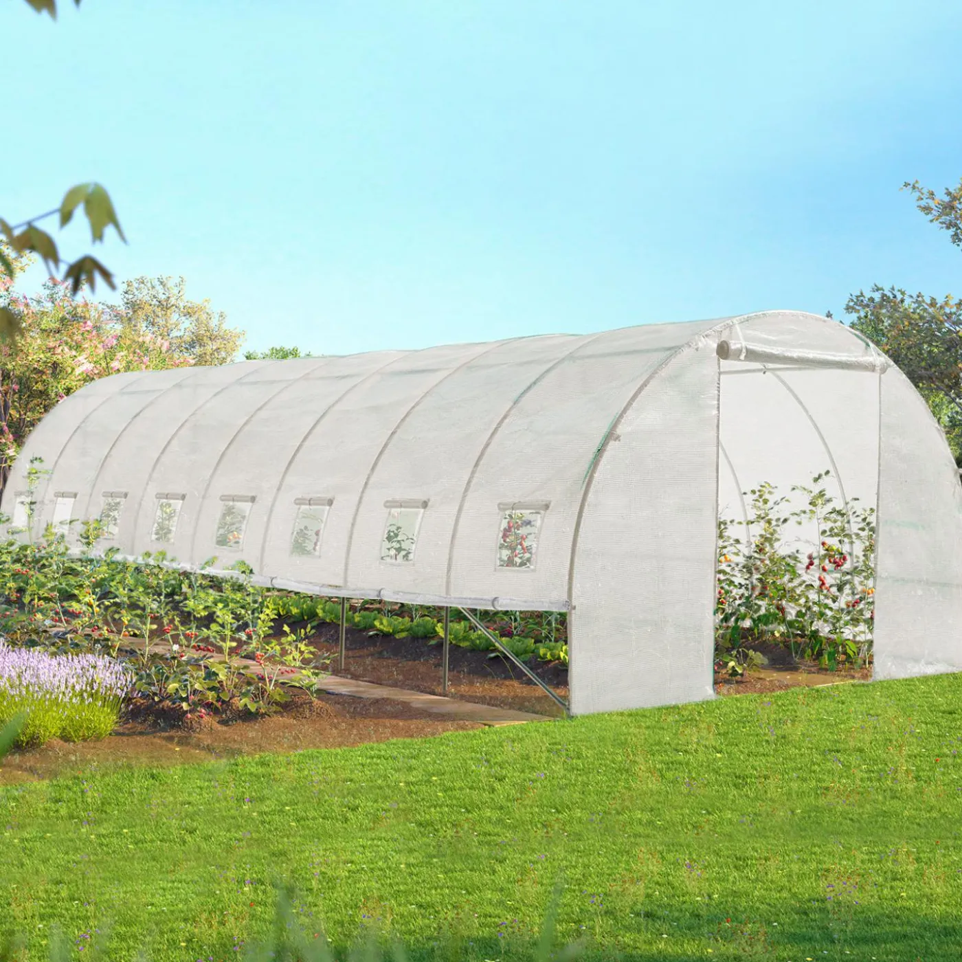 Serre de jardin blanche 24m² 8x3 M