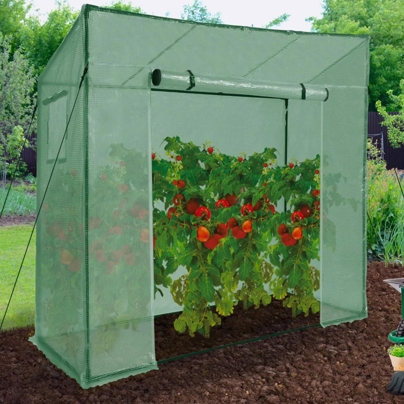 Serre de jardin verte avec porte et fenêtres relevables