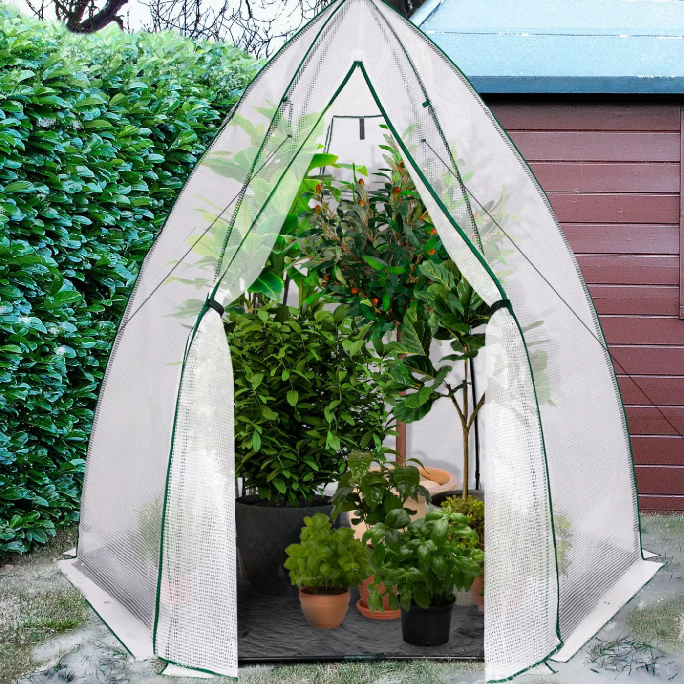 Serre hivernage grand format pour plantes
