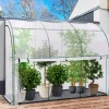 Serre murale pour hivernage des plantes
