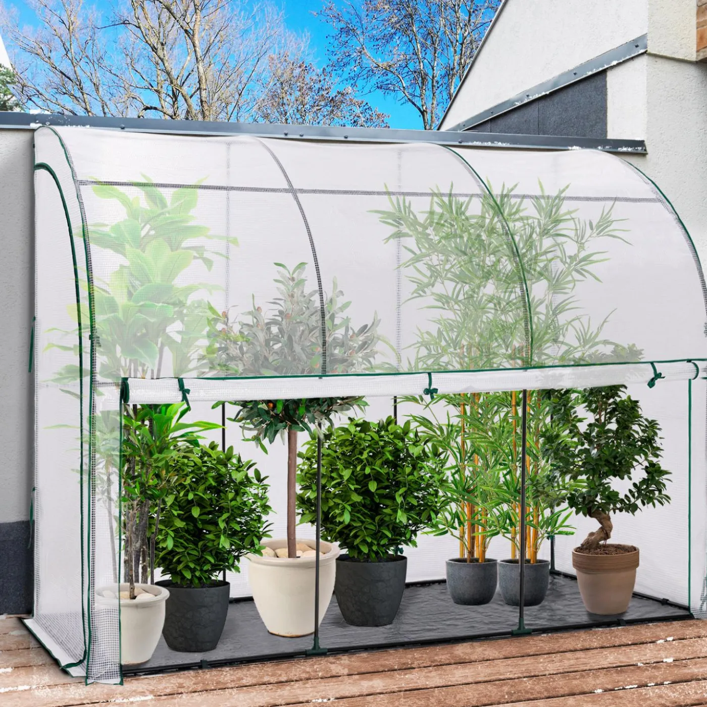 Serre murale pour hivernage des plantes