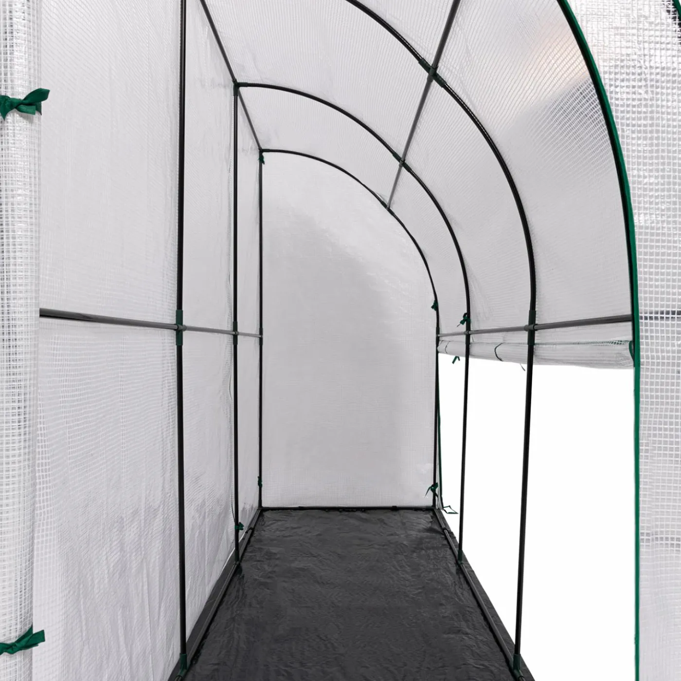 Serre murale pour hivernage des plantes