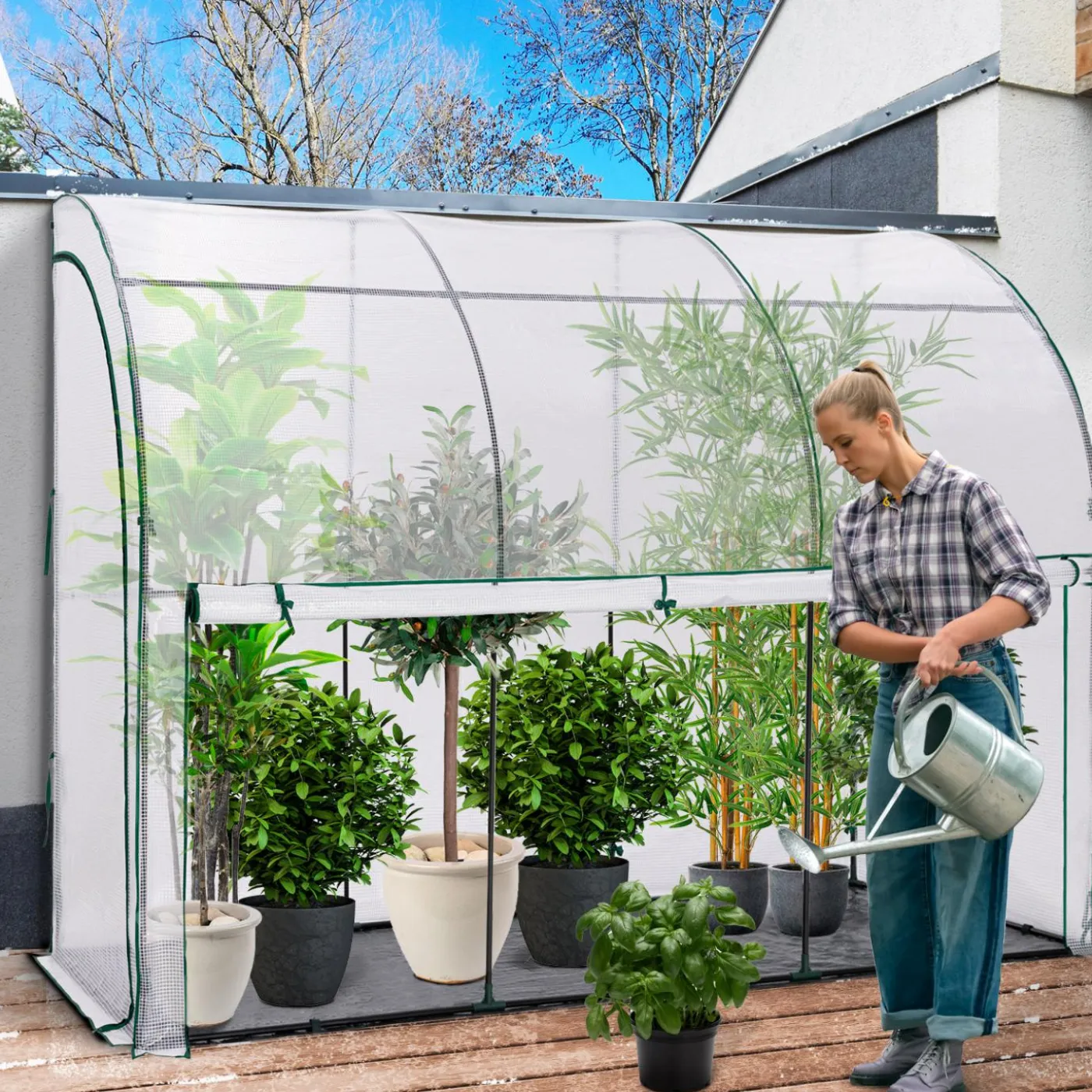 Serre murale pour hivernage des plantes