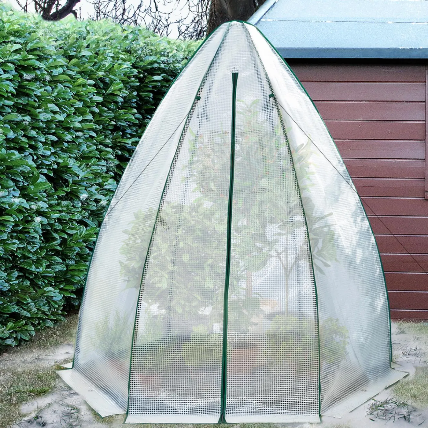 Serre pour hivernage des plantes