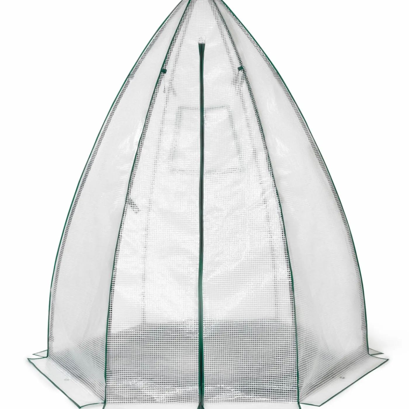 Serre pour hivernage des plantes