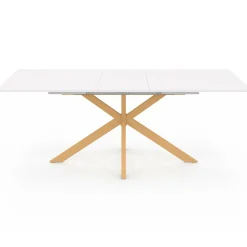 Table à manger extensible rectangle 6-10 personnes bois