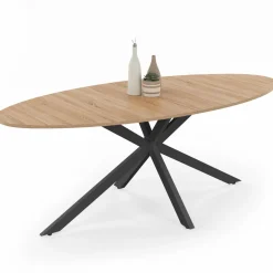 Table à manger ovale 10 personnes noire et bois
