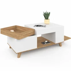 Table basse rectangulaire bois et blanc plateau relevable et coffre