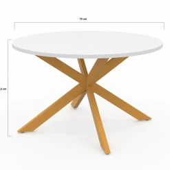 Table basse ronde blanche et bois 70 cm pied araignée