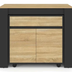Table buffet extensible 10 personnes 235 cm bois et noir