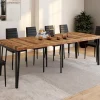 Table console extensible 10 personnesdesign industriel 235 cm