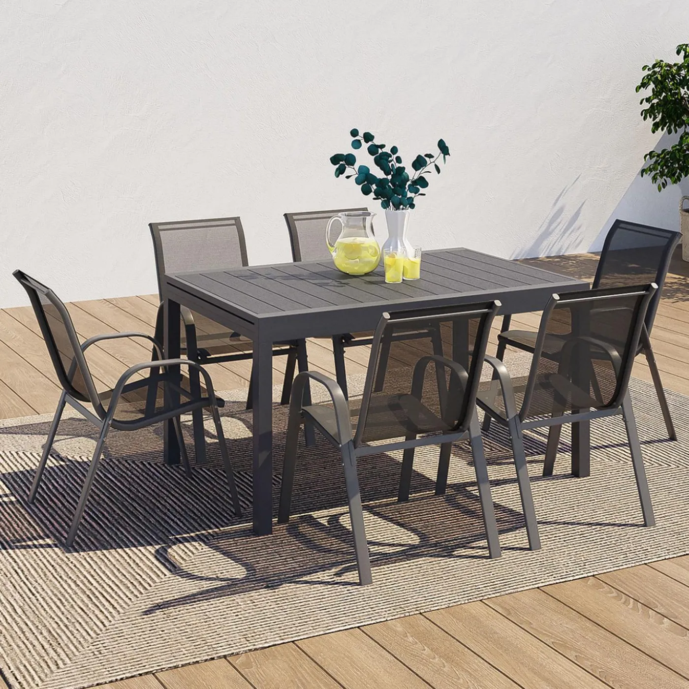 Table de jardin extensible 12 places avec chaises